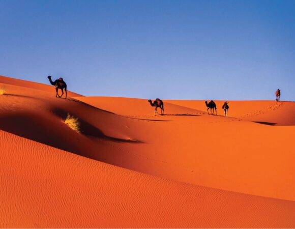 Sands of Serenity: Adventure from Fez to Merzouga (3 Days)