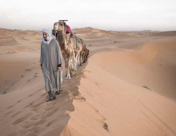Experience Sahara Glamping: Unleash the Desert Magic