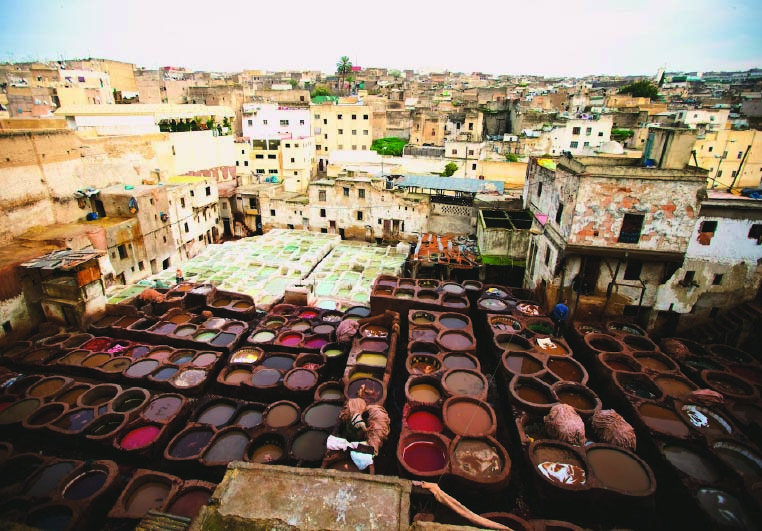 Unveiling the Splendors of Fes: A Captivating Sightseeing Adventure
